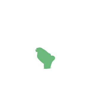 企業(yè)介紹